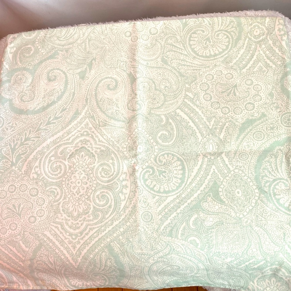 Green Paisley Toss Pillow Cover, 18 X 18